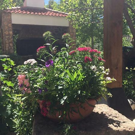 Casas Rurales La Huerta Hotell Salobre  Eksteriør bilde