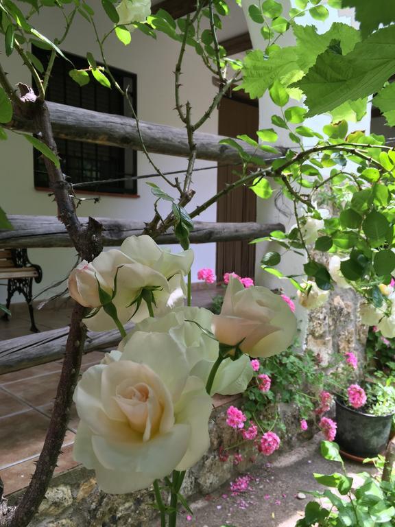 Casas Rurales La Huerta Hotell Salobre  Eksteriør bilde